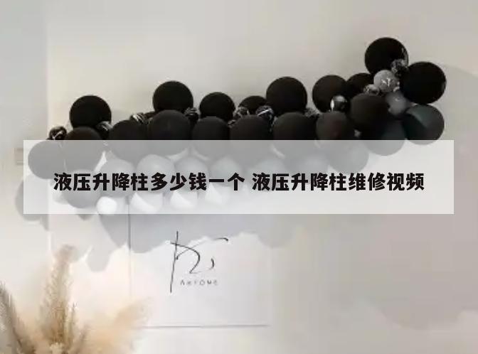 液压升降柱多少钱一个 液压升降柱维修视频