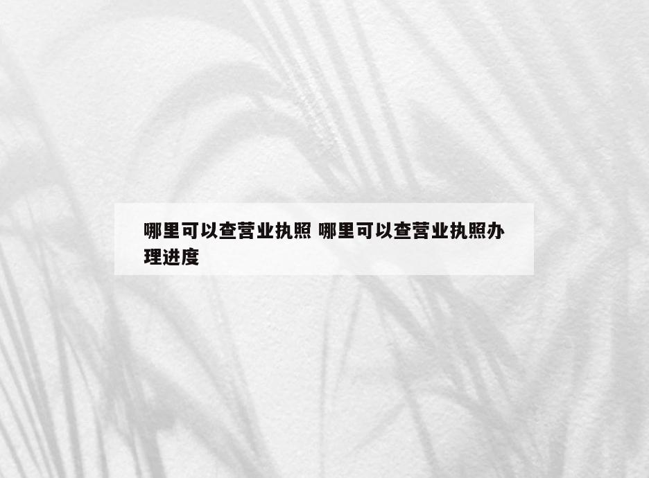 哪里可以查营业执照 哪里可以查营业执照办理进度