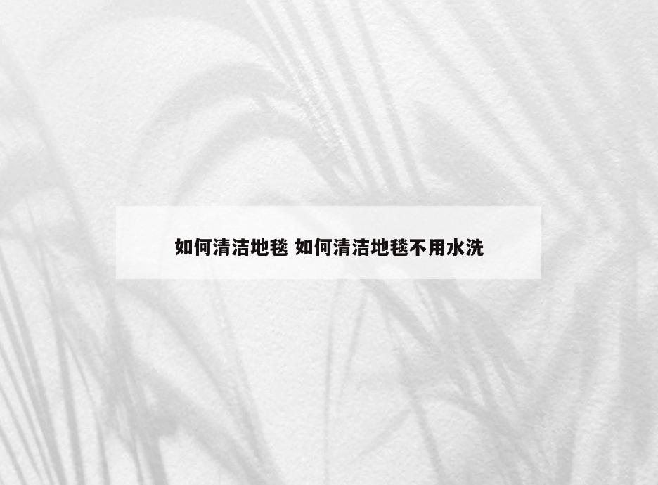 如何清洁地毯 如何清洁地毯不用水洗
