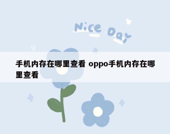 手机内存在哪里查看 oppo手机内存在哪里查看