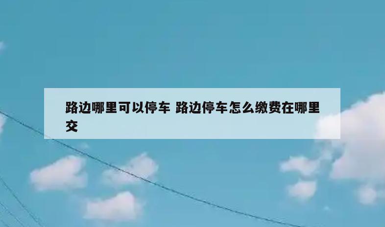 路边哪里可以停车 路边停车怎么缴费在哪里交