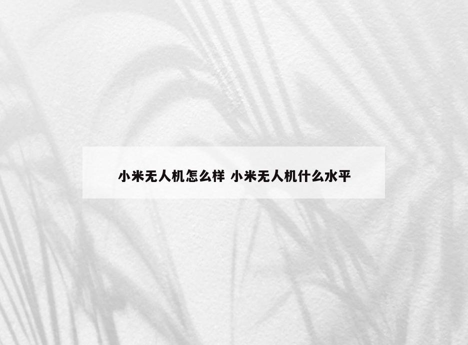 小米无人机怎么样 小米无人机什么水平