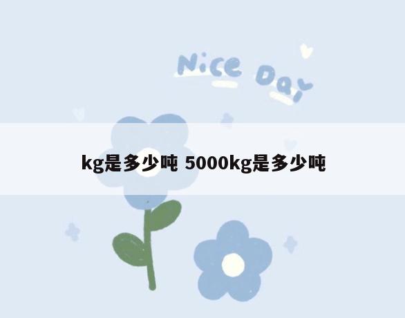 kg是多少吨 5000kg是多少吨