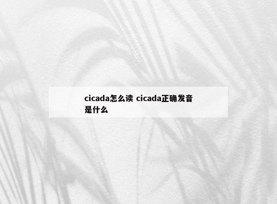 cicada怎么读 cicada正确发音是什么