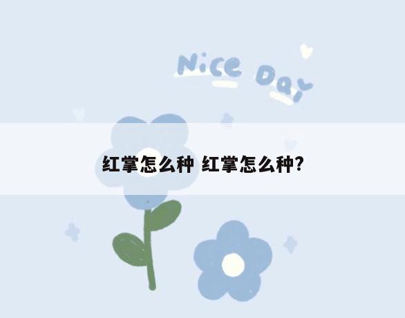 红掌怎么种 红掌怎么种?