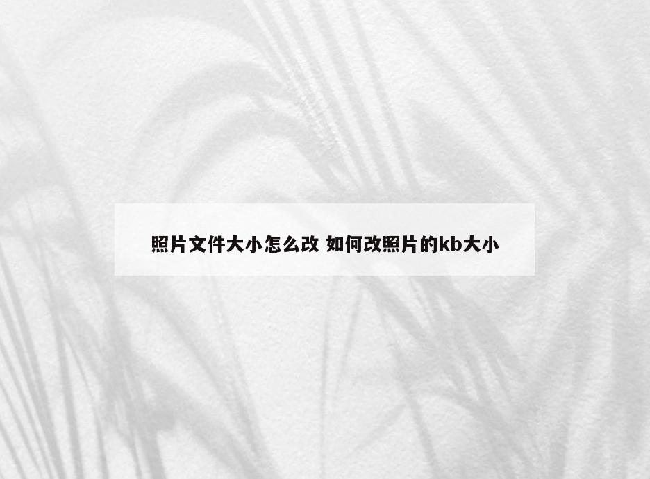 照片文件大小怎么改 如何改照片的kb大小