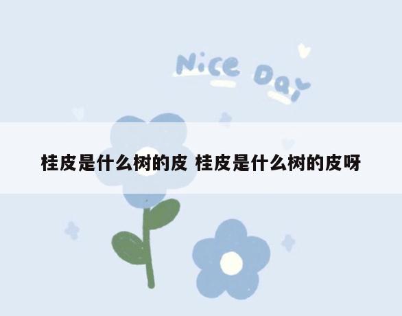 桂皮是什么树的皮 桂皮是什么树的皮呀