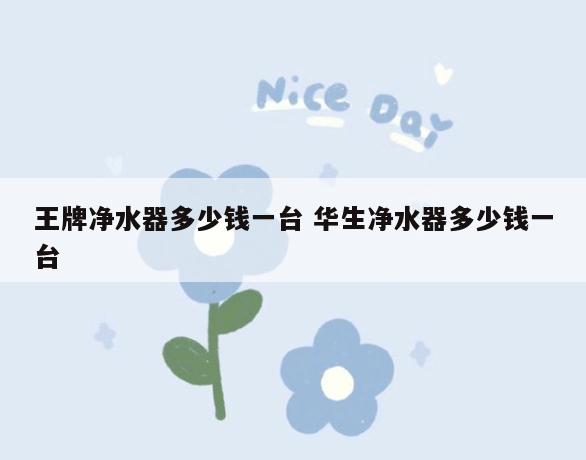 王牌净水器多少钱一台 华生净水器多少钱一台